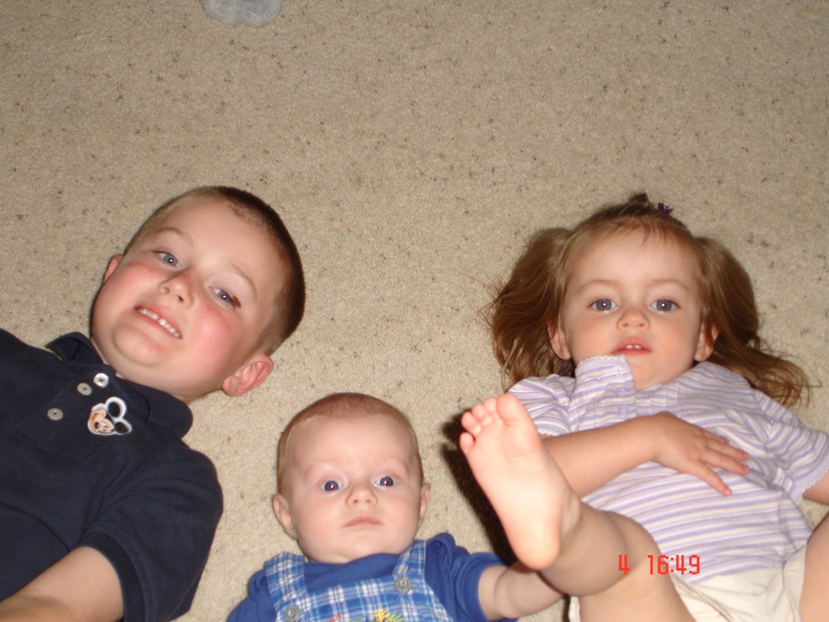 In a Perfect&nbsp;World